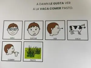 IMG_20250622_204307_1